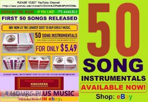 50 SONG INSTRUMENTALS on USB MEMORY STICK