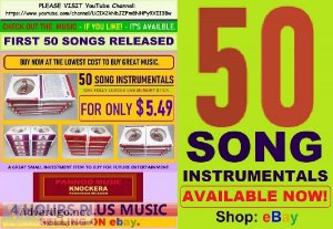 50 SONG INSTRUMENTALS on USB MEMORY STICK