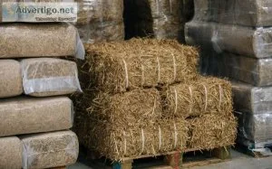 Alfalfa/timothy/brome mix hay bales for sale
