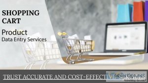 Data Entry Services for Shopping Carts that are Both Accurate an