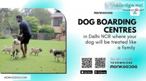 5 Best Dog Boarding Centres In Delhi NCR