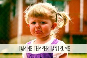 Taming Temper Tantrums  Childcare Class - Child Care Lounge