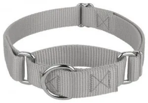 Pros of Buying Adjustable Dog Collars