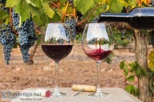 Did You Know Wine Can Travel