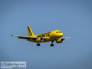 Talk to a live person at spirit airlines