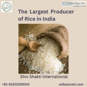 The largest producer of rice in india