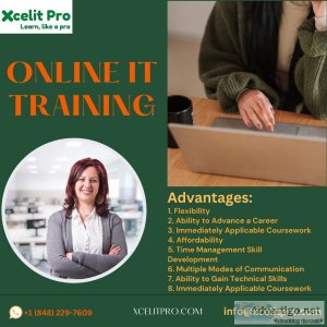 Online it training