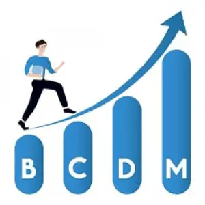 Bcdm | blueberry certified digital marketer