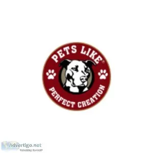 Elizabethan Collar for Cats