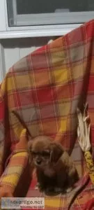 Sue