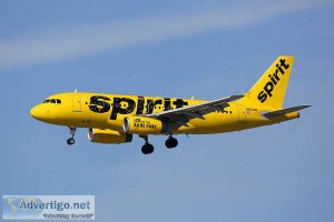 Spirit airlines reservations