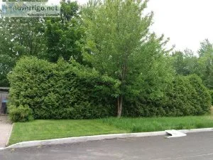 Superbe terrain &agrave construire -- Rue cul-de-sac L&eacutevis