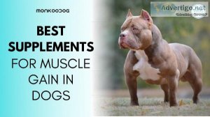 Best Supplement For Muscle Gain In Dog