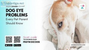 Dog Eye Problems Every Pet Parent Should Know