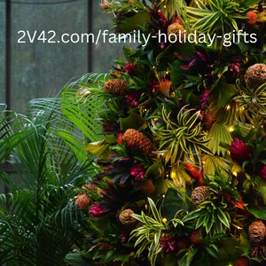 Holiday shopping without the crowds