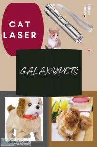 Cat laser interactive toy for your pets