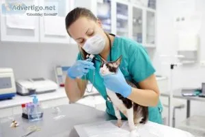 Provide Quality Veterinary Medical Equipment