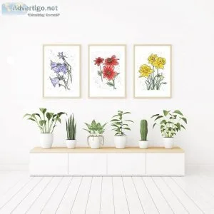 Get Fine Art Print Sets at EVERYDAY H2O. Shop Now