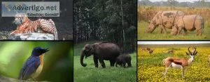 Malai Mahadeshwara Wildlife Sanctuary