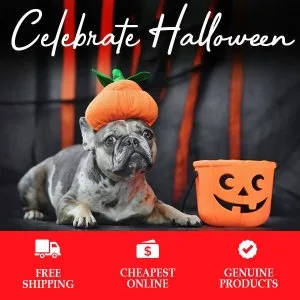 This Halloween I m witching you about PetVetzone s pet supplies