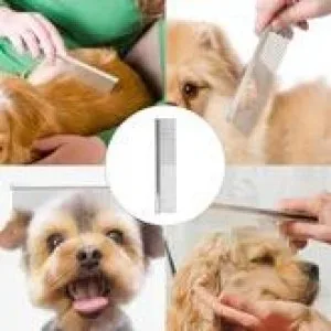 Premium Quality Grooming Brush and Comb For Dog At Pets Villa
