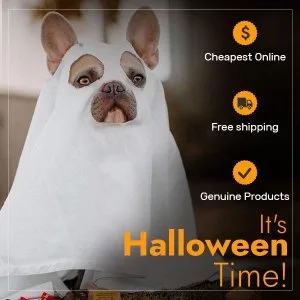 BargainPetStore invites you to a halloween time.