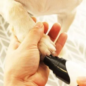 Rechargeable Professional Nail Grinder For Dogs