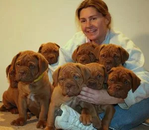 Dogue De Bordeaux French Mastiff