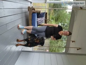 AKC Rottweiler Puppies
