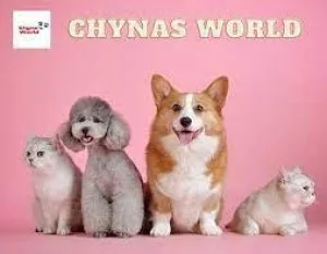 Beds and Furniture - Chyna&rsquos World Pet Store