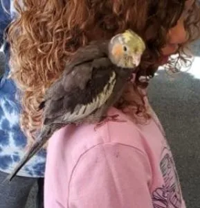 EXTRAordinary Exotics Mobile Petting Zoo