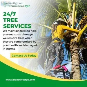 Based on Maui commercial tree services  IslandTreeStyle