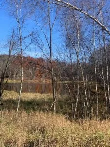 Water View Building Lot - Wallenpaupack Lake