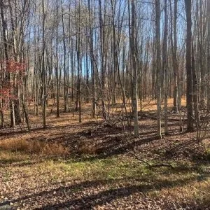 Lake Wallenpaupack  Ready to Build Lot For Sale (373 Osprey Cir 