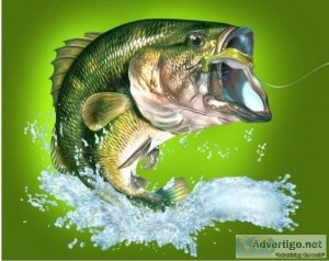 If you fish - this is for you 