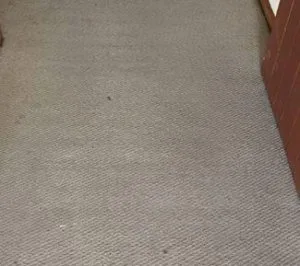 Floor Polishing Auckland - 0800 002181