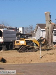 Tree and Stump Removal