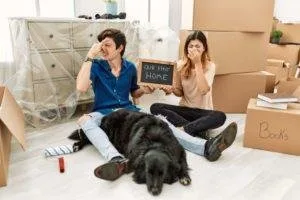 We can Stop the Stink of Dog Farts