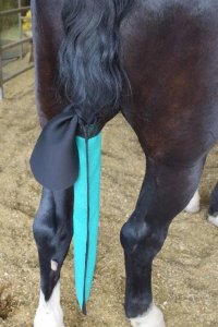 Choose The Best Store to Buy Horse Tail Socks Online