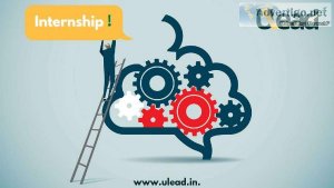 Reset A New Career and join ULead internship
