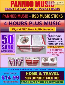50 SONG INSTRUMENTALS on USB MEMORY STICK - MUSIC