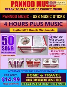 50 SONG INSTRUMENTALS on USB MEMORY STICK - MUSIC
