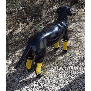 Want to Buy Dog Leggings Choose Our Store Now