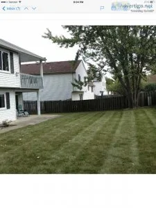 Beautiful Single Family Home 4 Bedrooms 3 Bathrooms Raised Ranch