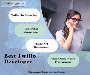 Best twilio developer