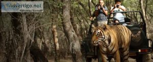 Best indian wildlife tour packages: trinetra tours