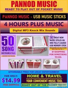 50 SONG INSTRUMENTALS on USB MEMORY STICK - GREAT USB MUSIC