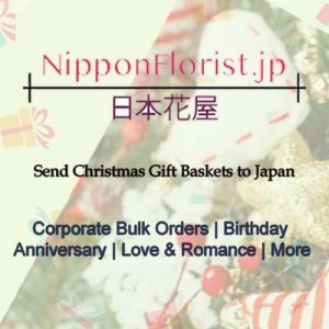 Low cost christmas gift basket to japan