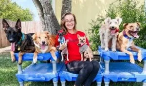 Sit means sit cibolo dog training
