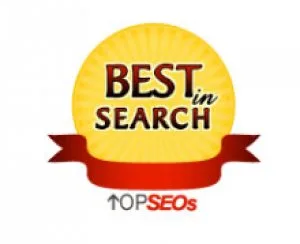 Best seo services company in delhi to boost the rankings